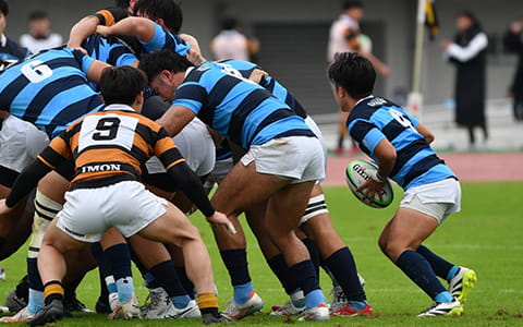 日本体育大学 ラグビー部